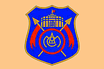 playerTypeLogo